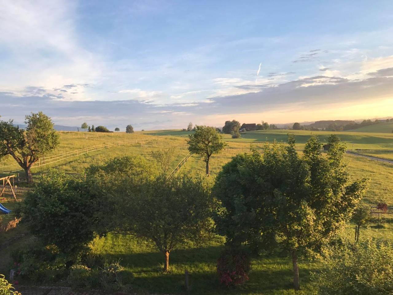 Allgaeu Meadow Ranch Hergatz Exterior foto